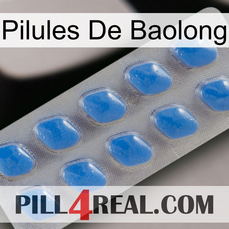 Baolong Pills 22